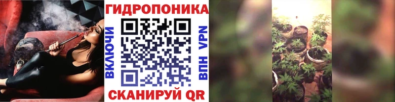 Канабис VHQ  Дно 